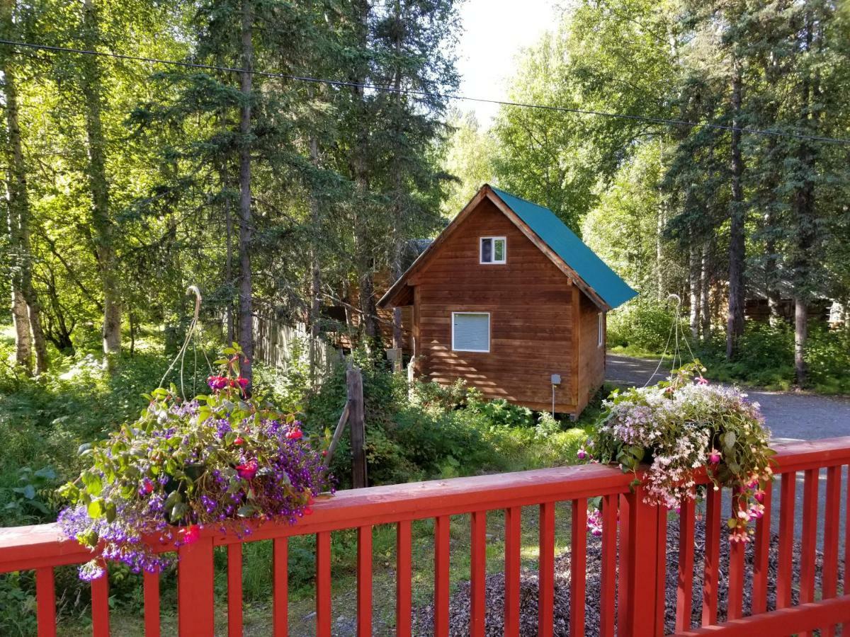 Hotel Talkeetna Hideaway Zewnętrze zdjęcie