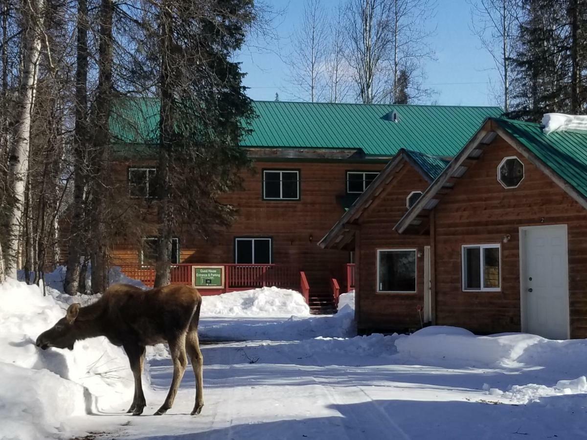 Hotel Talkeetna Hideaway Zewnętrze zdjęcie